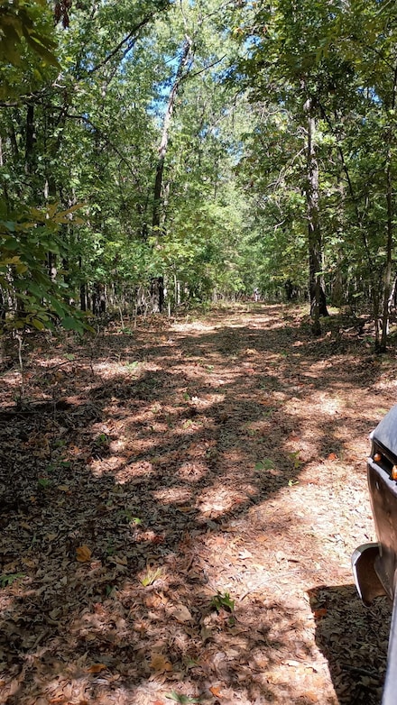 000 Flint Ln, Washburn, MO 65772