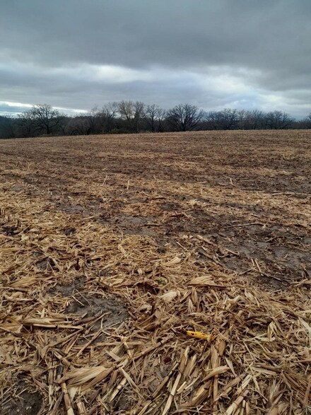 30.82 Acres Major Ln, Platteville, WI 53818