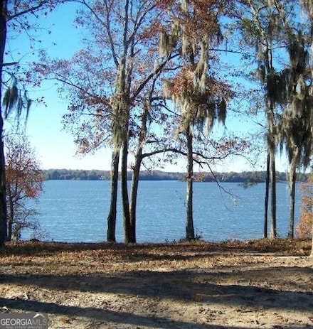 0 Point Dr Unit 2,3,4 20151553, Georgetown, GA 39854