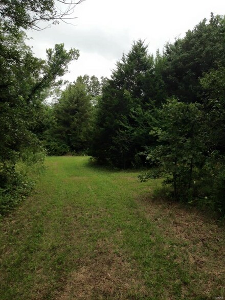 0 Dickinson Rd Unit 17005761, Cadet, MO 63630