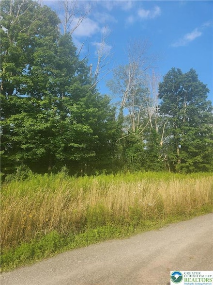 0 Pennsylvania 247 Unit Lot 9 757722, Greenfild Township, PA 18407