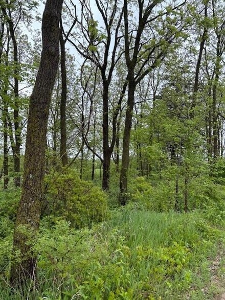 0 Boyle Rd, Clayton, WI 54655