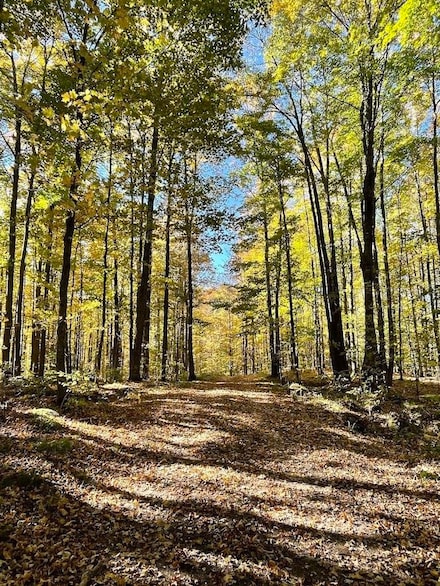 0 Old J Rd, Silver Cliff, WI 54104