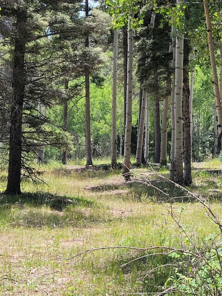 lot 51 Via de Maria, Angel Fire, NM 87710