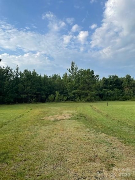 0 Healing Springs Ct, Timmonsville, SC 29161