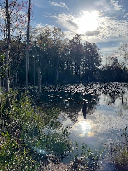 0 Peachtree Extension Unit 205472, Gilbert, SC 29054