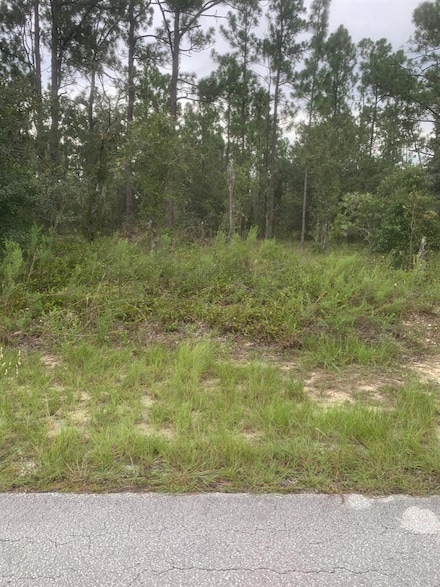 0 SW Anchor Lot 37 Blvd, Dunnellon, FL 34431