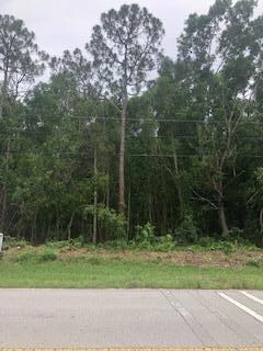 0000 Citrus Dr, Loxahatchee, FL 33470