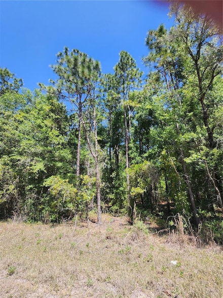 0 W 1 2 of Lot 2 Block 177 Rolling Hills Unit 5 MFRO6294624, Ocala, FL 34481