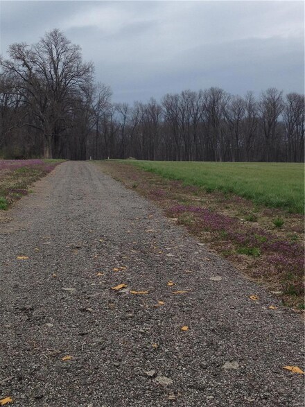 0 Mulberry Grove Rd, Mulberry Grove, IL 62262