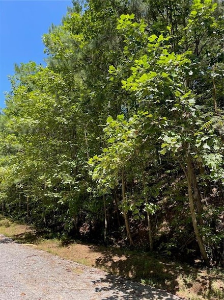3.98 Acres Whitestone Dr, Talking Rock, GA 30175