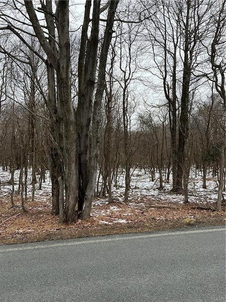 767 Hidden Lake Dr, Middle Smithfield Township, PA 18302