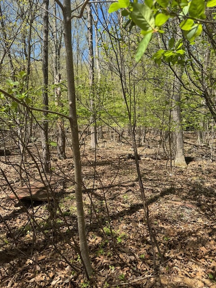 0 Nipper Rd, Middle Smithfield Township, PA 18302
