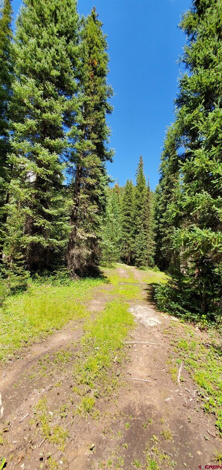 Anglo Saxon Properties County Road 110, Silverton, CO 81433