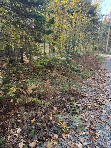 Lot 9-1 Lilly Dr, Newport, ME 04953
