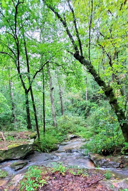 Lot 6 Falls Dr Unit 6, Mill Spring, NC 28756
