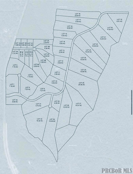 Lot 10, Picayune, MS 39466