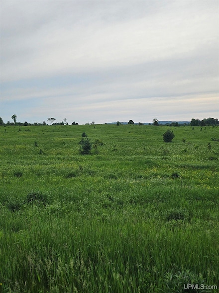 TBD E Branch Rd, Greenland, MI 49948