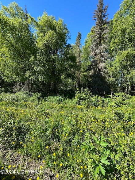 Lot 4 Lake Village Sub, Nikiski/North Kenai, AK 99611