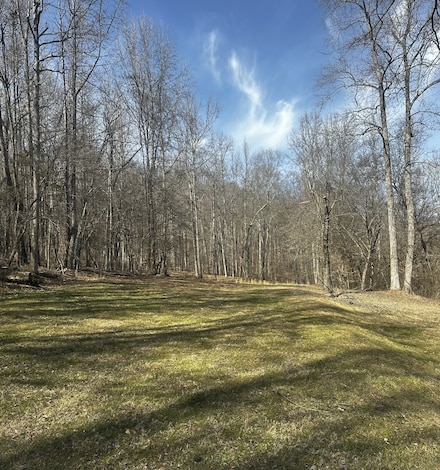 0 Indian Creek Dr, Huntland, TN 37345
