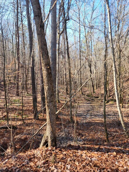 0 W Highway 136 Unit 1368095, Chickamauga, GA 30707