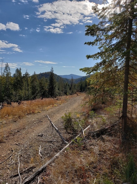 114a Packer Dr, Haugan, MT 59867