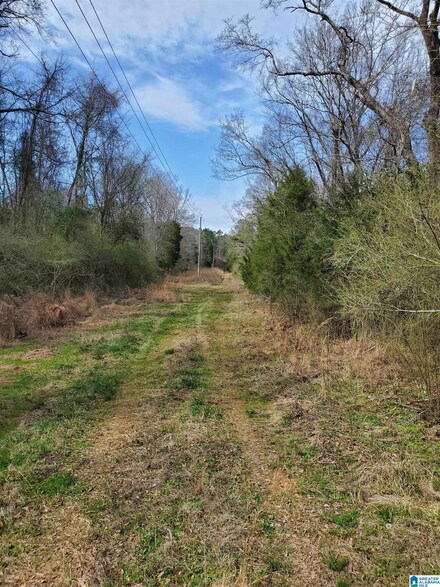 0 Merkle Ln Unit 1346923, Lincoln, AL 35096