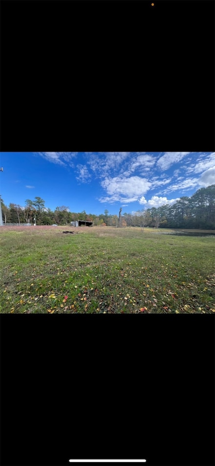 1705 Riley Fuzzel C Rd, Spring, TX 77386