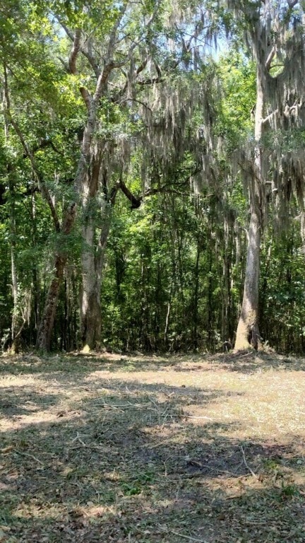0 Briar Patch Rd SE, Townsend, GA 31331