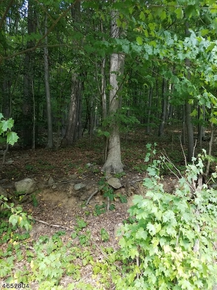 1128 New Jersey 10, Randolph, NJ 07869