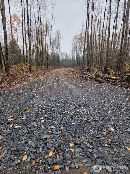 0 X H St, Blaine, WA 98230