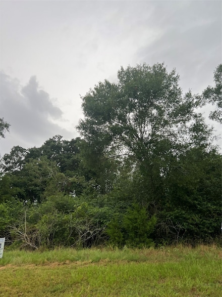 1415 25th St, Hempstead, TX 77445