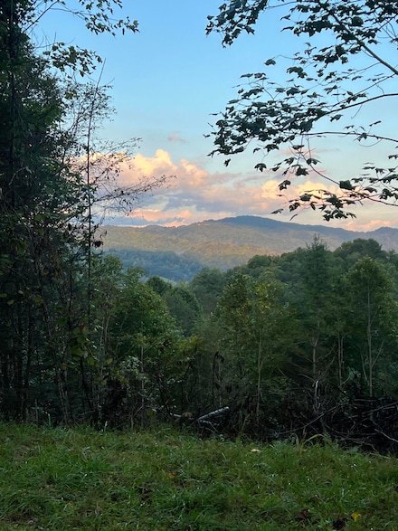 Lot 6 Laurel Highlands Rd, Roan Mountain, TN 37687
