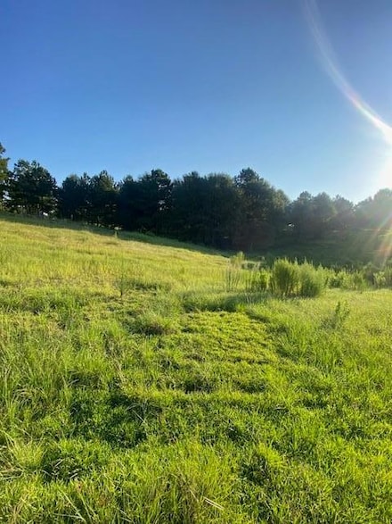 Land For Sale In Jones County Ms Jones County MS Land & Lots for Sale - pg 3 - Homes.com