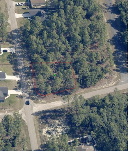 1951 W Adelia Place, Citrus Springs, FL 34434