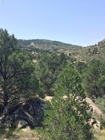 Off Backwoods Trail Unit 4, Peeples Valley, AZ 86332