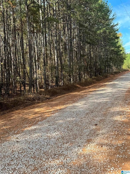 0 Gobbler Creek Rd, Delta, AL 36258