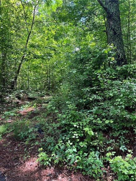 130 Old Mill Rd, Hiram, GA 30141