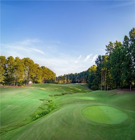130 Talon Way, Ball Ground, GA 30107