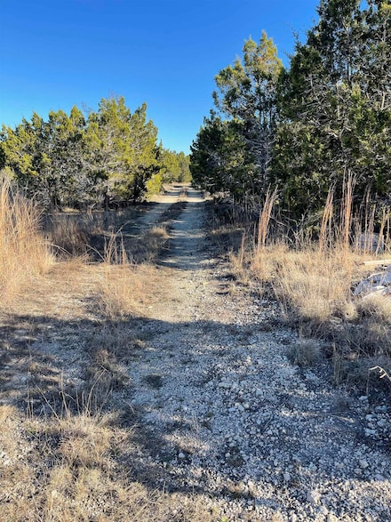 4180 W Fm 243, Bertram, TX 78605