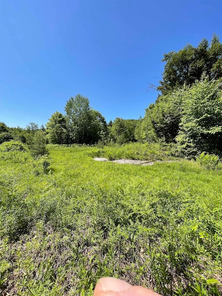 * Alder Plains Rd, Bradford, NH 03221