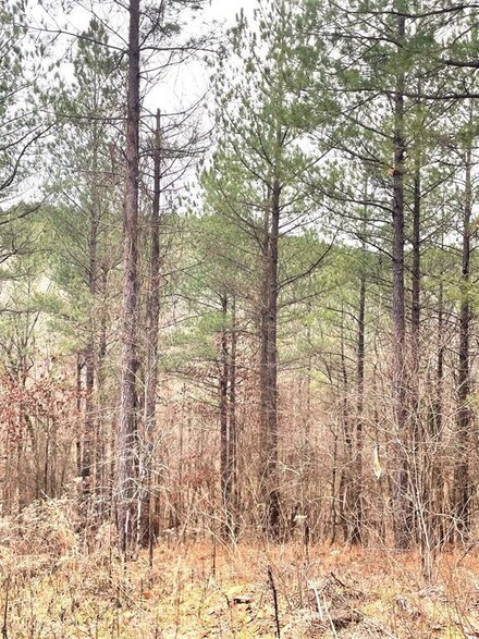 715 Timber Creek Trails South Xl, Broken Bow, OK 74728