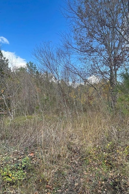 TBD Casey Rd, Lufkin, TX 75901