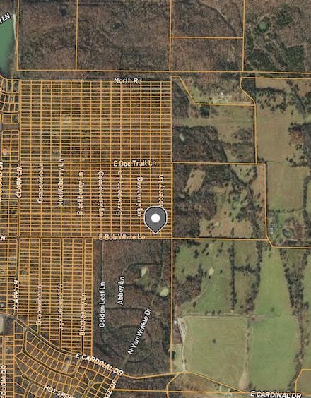 1308 Raspberry Ln, Horseshoe Bend, AR 72512