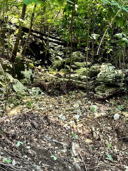 1272 Ramblewood Trail, Yellville, AR 72687