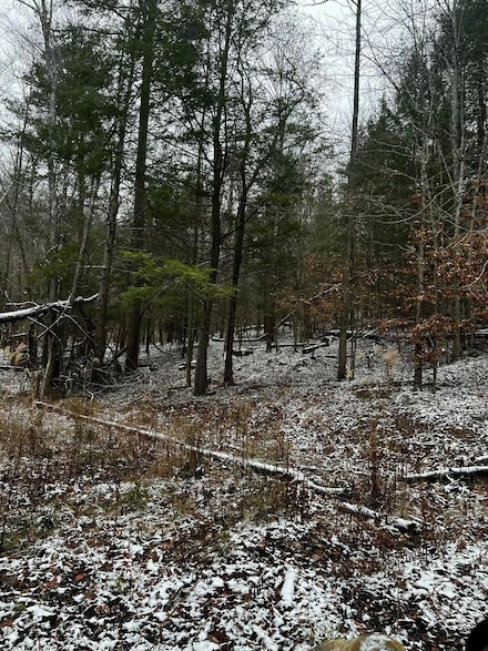 Lot 114 Paradise Mountain, Rogers, KY 41365