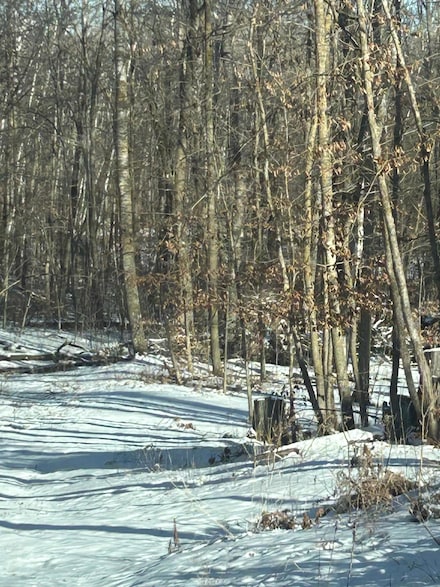 xxx Birch Curve Rd, Cushing Township, MN 56475