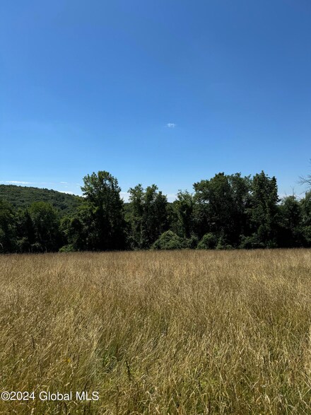 L.81.4 & 5 Pitts Rd, Chatham, NY 12136