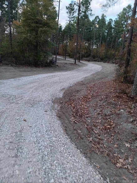 1028 Red Wings Rd, Bismarck, AR 71929