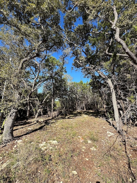 687 Burr Oak Ln, Canyon Lake, TX 78133